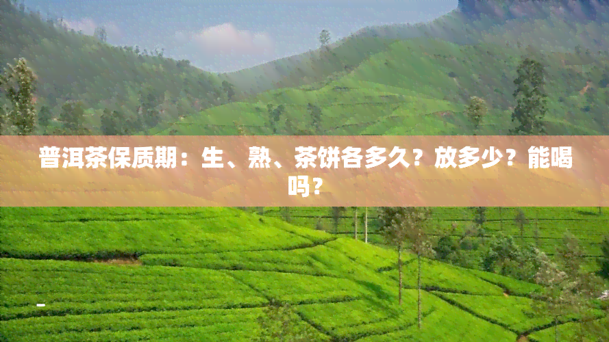 普洱茶保质期：生、熟、茶饼各多久？放多少？能喝吗？