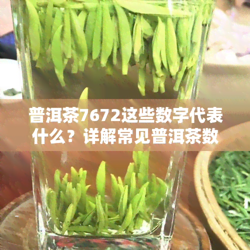 普洱茶7672这些数字代表什么？详解常见普洱茶数字含义与意义