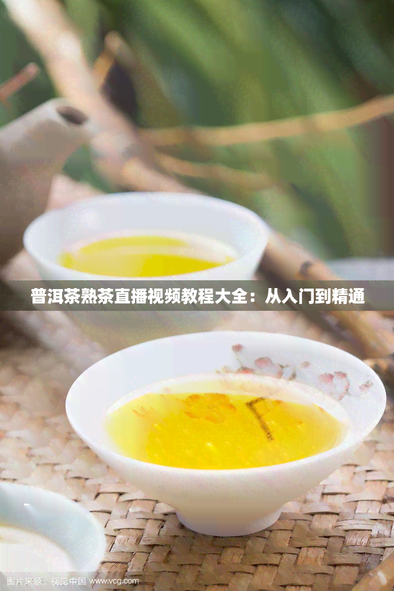 普洱茶熟茶直播视频教程大全：从入门到精通