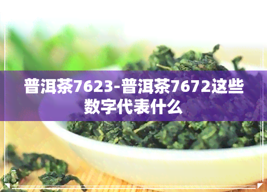 普洱茶7623-普洱茶7672这些数字代表什么