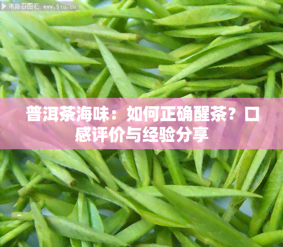 普洱茶海味：如何正确醒茶？口感评价与经验分享