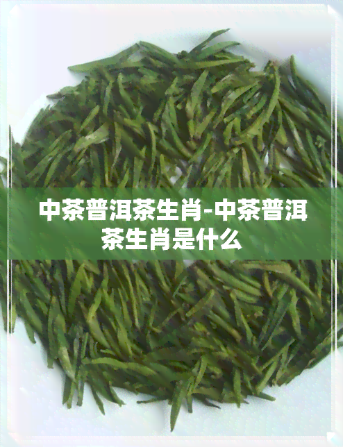 中茶普洱茶生肖-中茶普洱茶生肖是什么