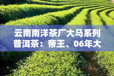 云南南洋茶厂大马系列普洱茶：帝王、06年大马帝王、陈年等产品价格一览