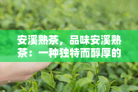 安溪熟茶，品味安溪熟茶：一种独特而醇厚的茶香体验