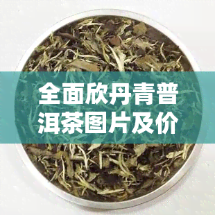 全面欣丹青普洱茶图片及价格信息，了解丹青茶叶种类特性