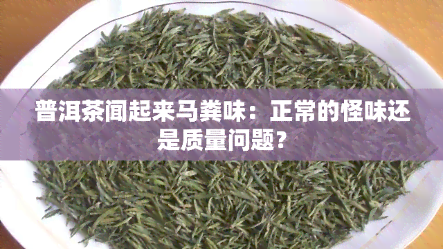 普洱茶闻起来马粪味：正常的怪味还是质量问题？