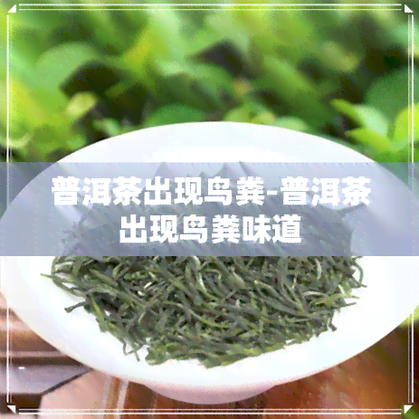 普洱茶出现鸟粪-普洱茶出现鸟粪味道