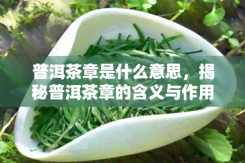 普洱茶章是什么意思，揭秘普洱茶章的含义与作用