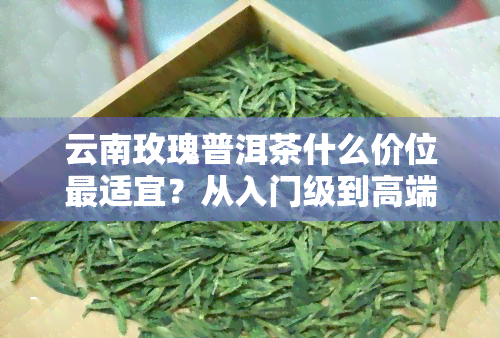 云南玫瑰普洱茶什么价位最适宜？从入门级到高端全解析