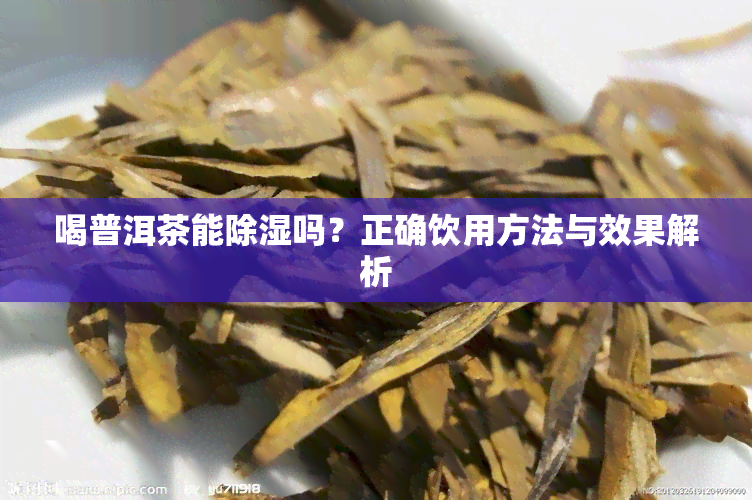 喝普洱茶能除湿吗？正确饮用方法与效果解析