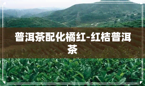 普洱茶配化橘红-红桔普洱茶