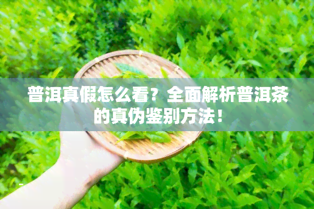 普洱真假怎么看？全面解析普洱茶的真伪鉴别方法！