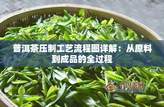 普洱茶压制工艺流程图详解：从原料到成品的全过程