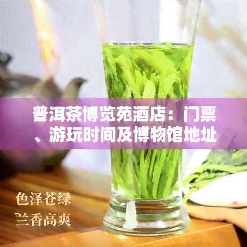 普洱茶博览苑酒店：门票、游玩时间及博物馆地址全攻略