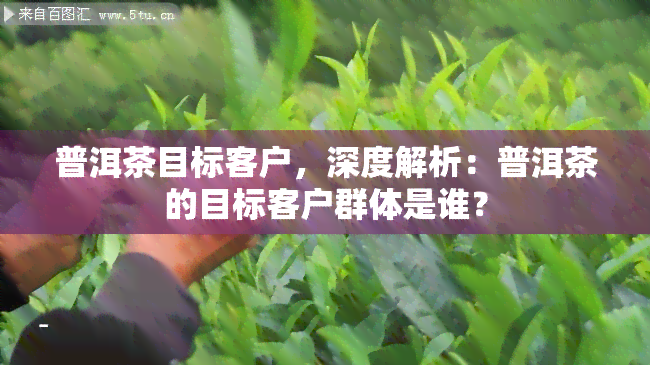 普洱茶目标客户，深度解析：普洱茶的目标客户群体是谁？