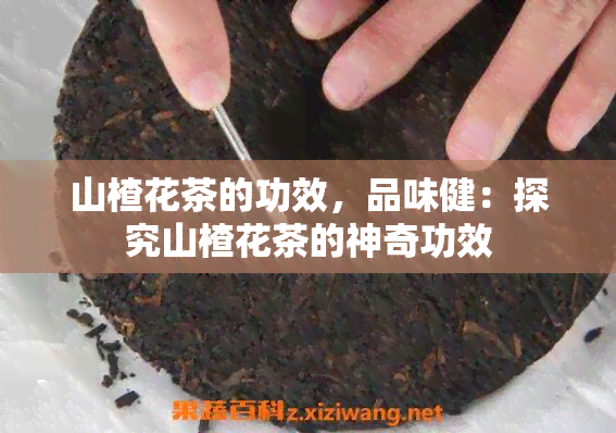 山楂花茶的功效，品味健：探究山楂花茶的神奇功效