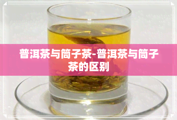 普洱茶与筒子茶-普洱茶与筒子茶的区别