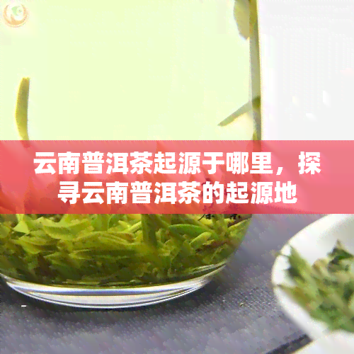 云南普洱茶起源于哪里，探寻云南普洱茶的起源地