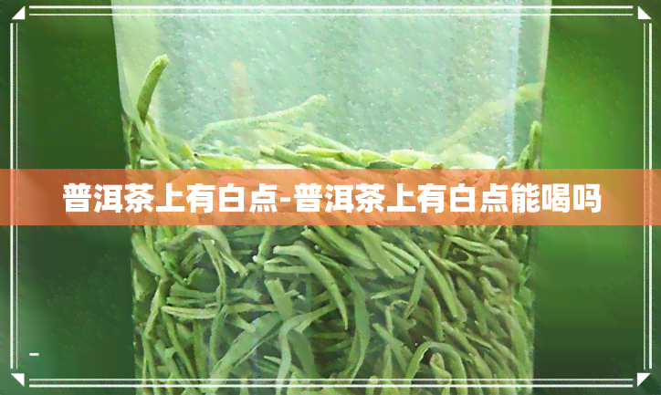 普洱茶上有白点-普洱茶上有白点能喝吗