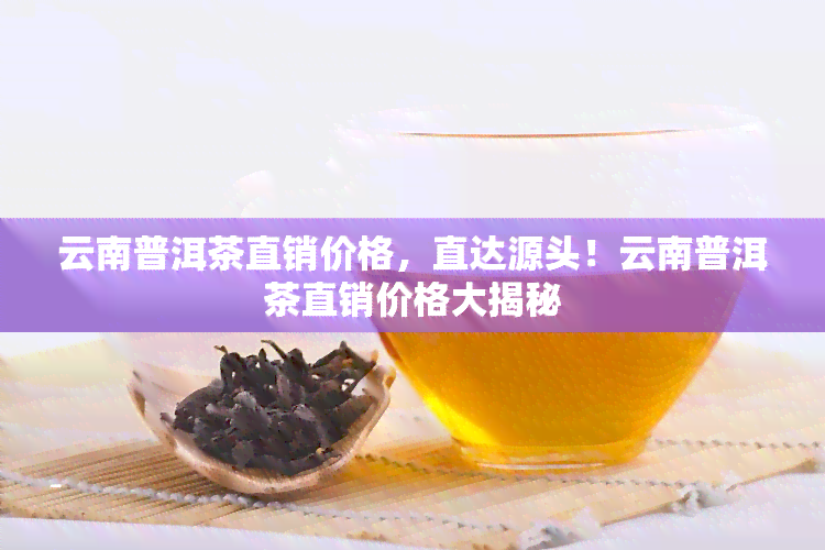 云南普洱茶直销价格，直达源头！云南普洱茶直销价格大揭秘