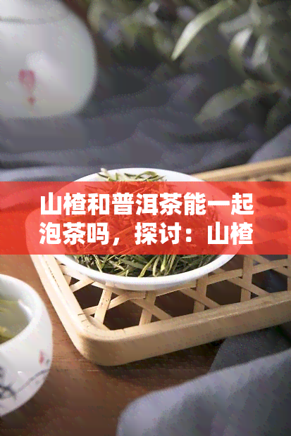 山楂和普洱茶能一起泡茶吗，探讨：山楂与普洱茶能否共泡？