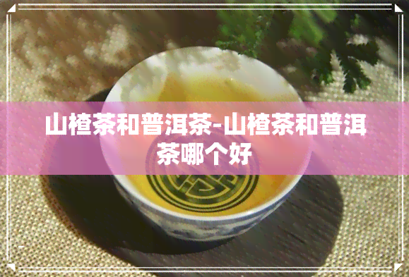 山楂茶和普洱茶-山楂茶和普洱茶哪个好