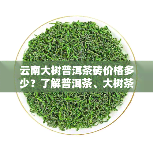 云南大树普洱茶砖价格多少？了解普洱茶、大树茶、茶叶价格差异！