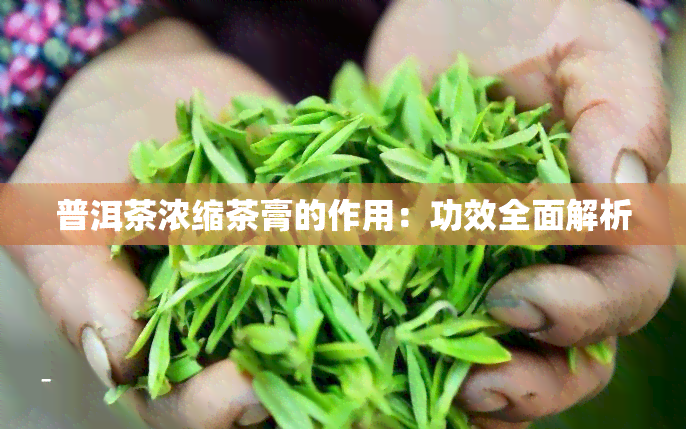 普洱茶浓缩茶膏的作用：功效全面解析