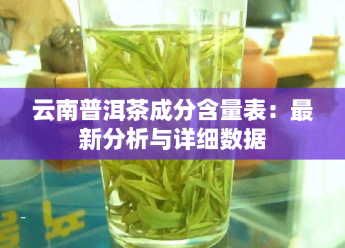 云南普洱茶成分含量表：最新分析与详细数据