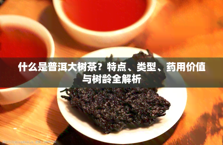 什么是普洱大树茶？特点、类型、药用价值与树龄全解析