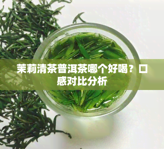 茉莉清茶普洱茶哪个好喝？口感对比分析