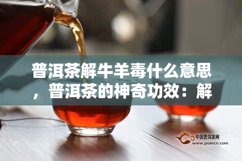 普洱茶解牛羊什么意思，普洱茶的神奇功效：解牛羊的秘密