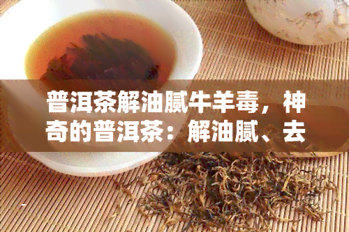 普洱茶解油腻牛羊，神奇的普洱茶：解油腻、去牛羊的好帮手！