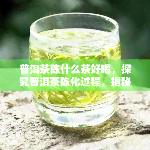 普洱茶陈什么茶好喝，探究普洱茶陈化过程，揭秘何种陈茶更美味