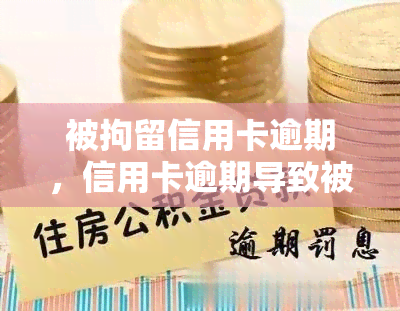 被拘留信用卡逾期，信用卡逾期导致被拘留，警惕信用风险的重要性