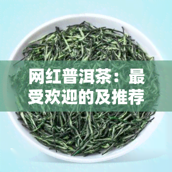 网红普洱茶：更受欢迎的及推荐