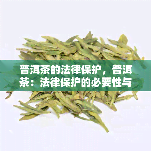 普洱茶的法律保护，普洱茶：法律保护的必要性与策略