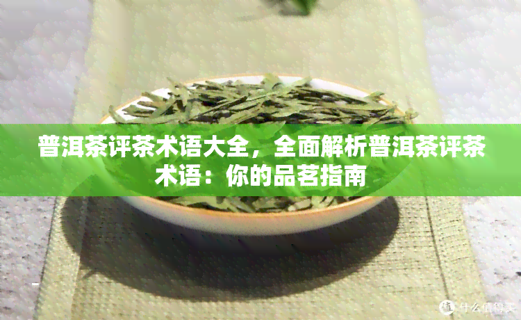 普洱茶评茶术语大全，全面解析普洱茶评茶术语：你的品茗指南