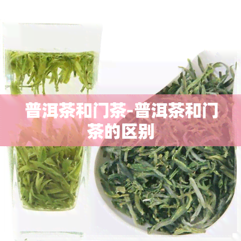 普洱茶和门茶-普洱茶和门茶的区别