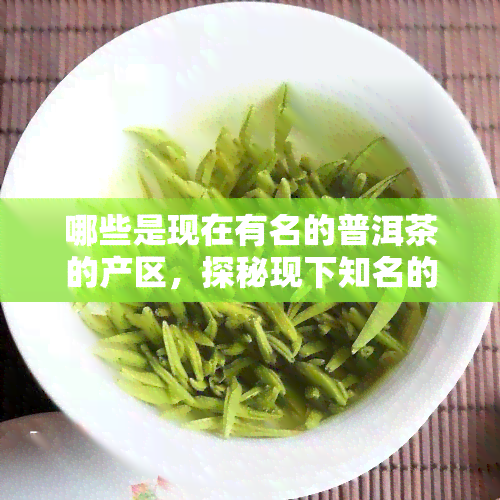 哪些是现在有名的普洱茶的产区，探秘现下知名的普洱茶产区