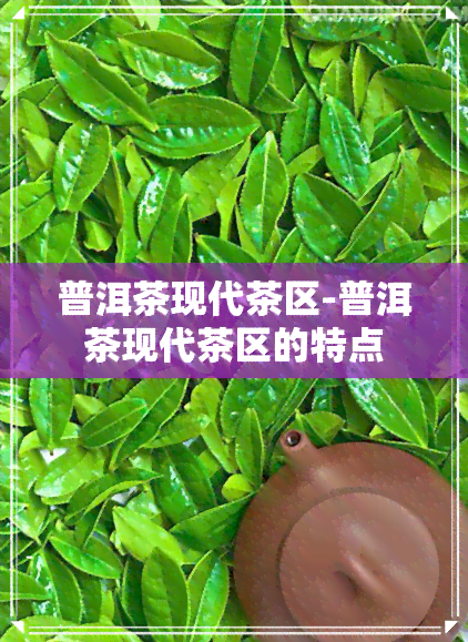 普洱茶现代茶区-普洱茶现代茶区的特点