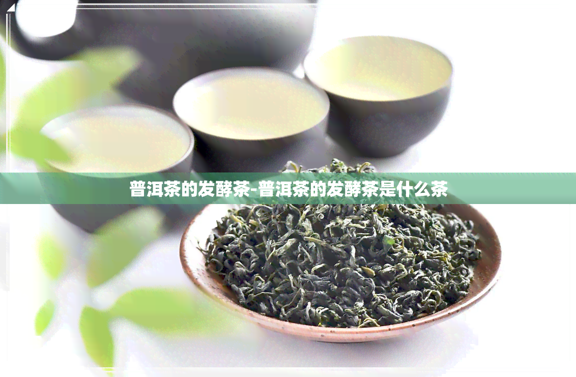 普洱茶的发酵茶-普洱茶的发酵茶是什么茶