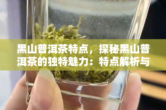 黑山普洱茶特点，探秘黑山普洱茶的独特魅力：特点解析与品鉴指南