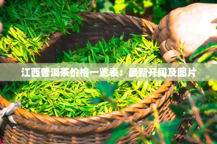 江西普洱茶价格一览表：最新开阔及图片