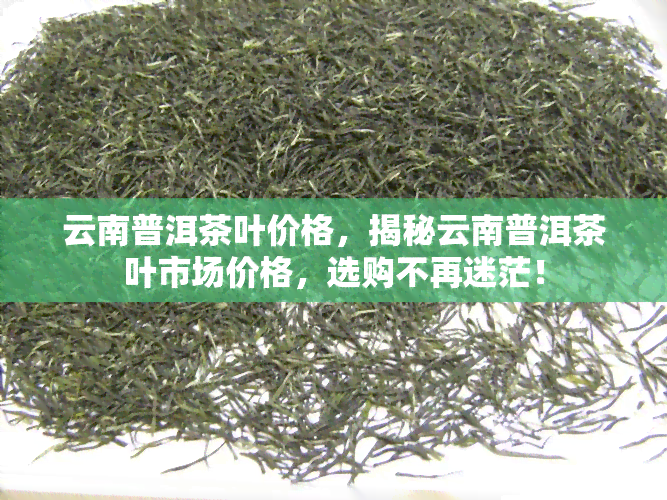 云南普洱茶叶价格，揭秘云南普洱茶叶市场价格，选购不再迷茫！