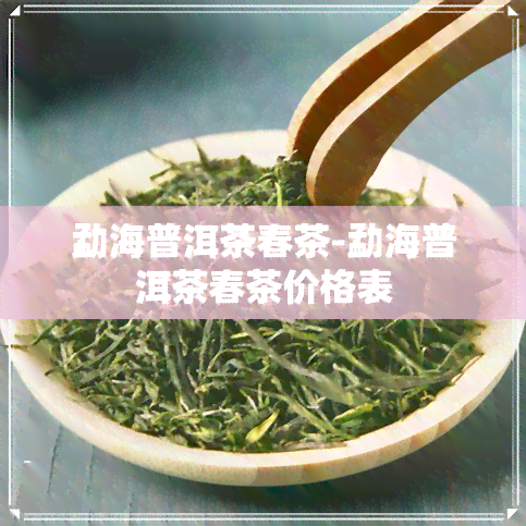 勐海普洱茶春茶-勐海普洱茶春茶价格表