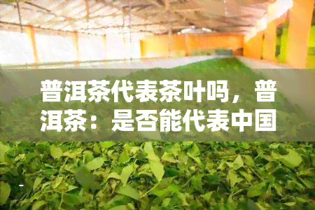 普洱茶代表茶叶吗，普洱茶：是否能代表中国茶叶的精髓？