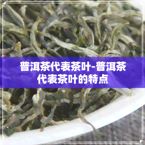 普洱茶代表茶叶-普洱茶代表茶叶的特点