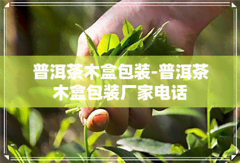 普洱茶木盒包装-普洱茶木盒包装厂家电话