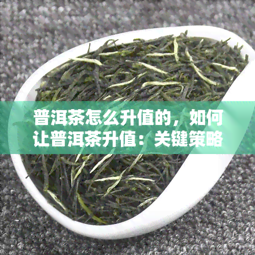 普洱茶怎么升值的，如何让普洱茶升值：关键策略与建议